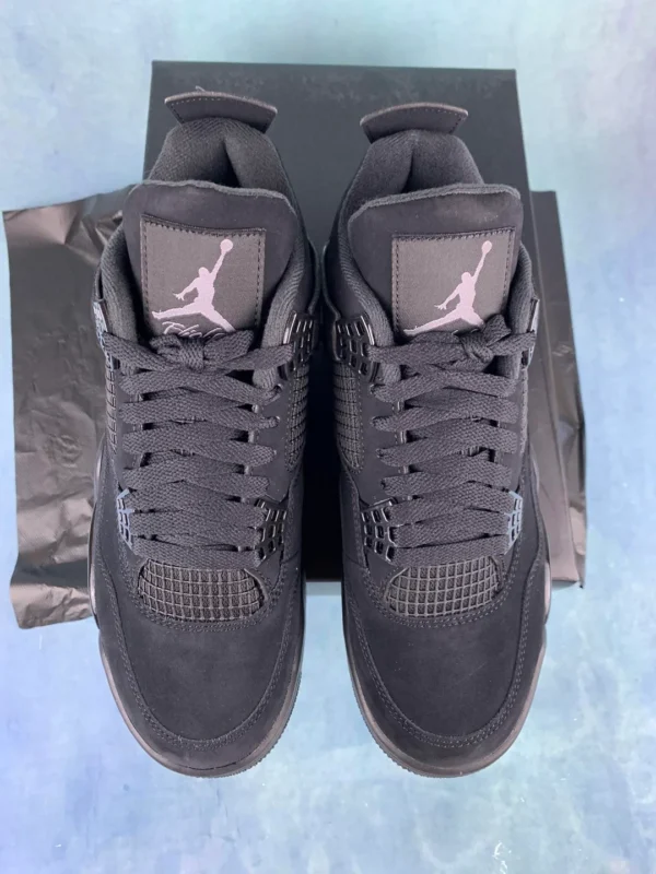 Air Jordan 4 Black Cat